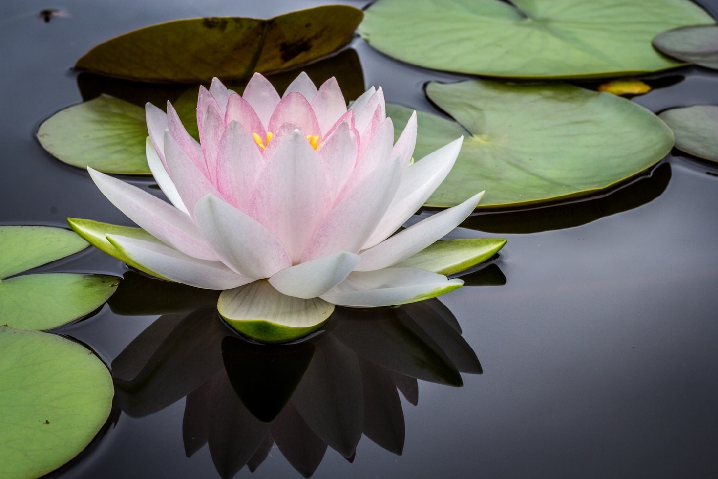 Como escolher velas aromáticas para cada ambiente