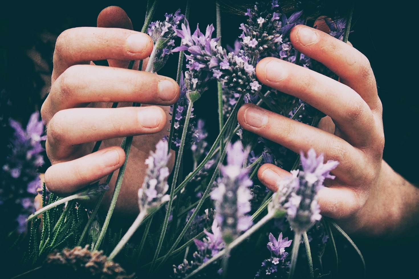 Aromaterapia na prática: ideias para o dia a dia